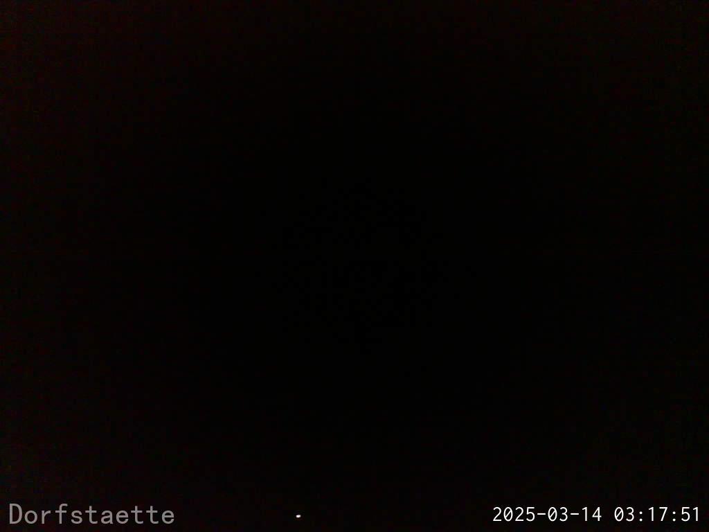 Webcam Bild