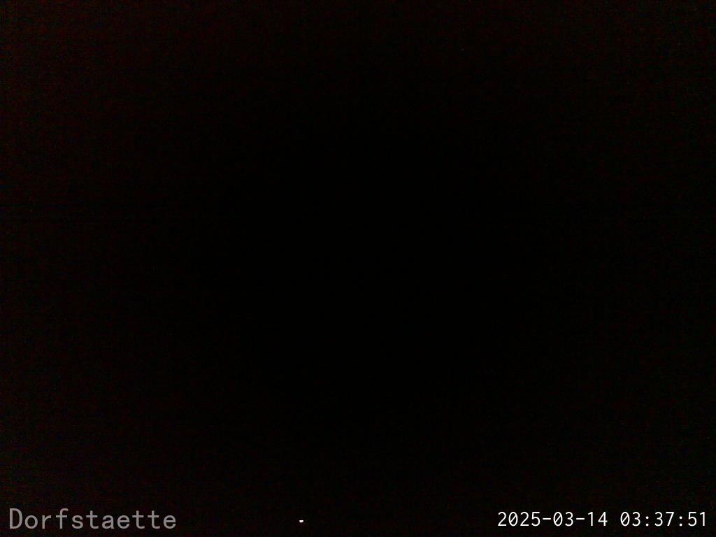 Webcam Bild