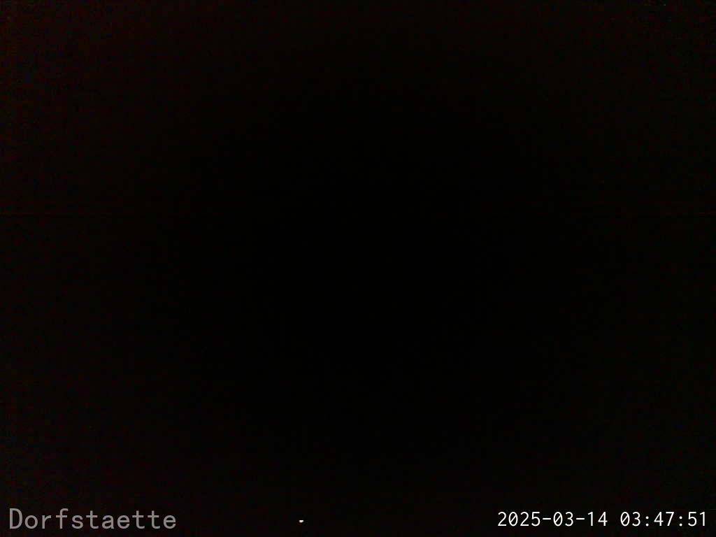 Webcam Bild