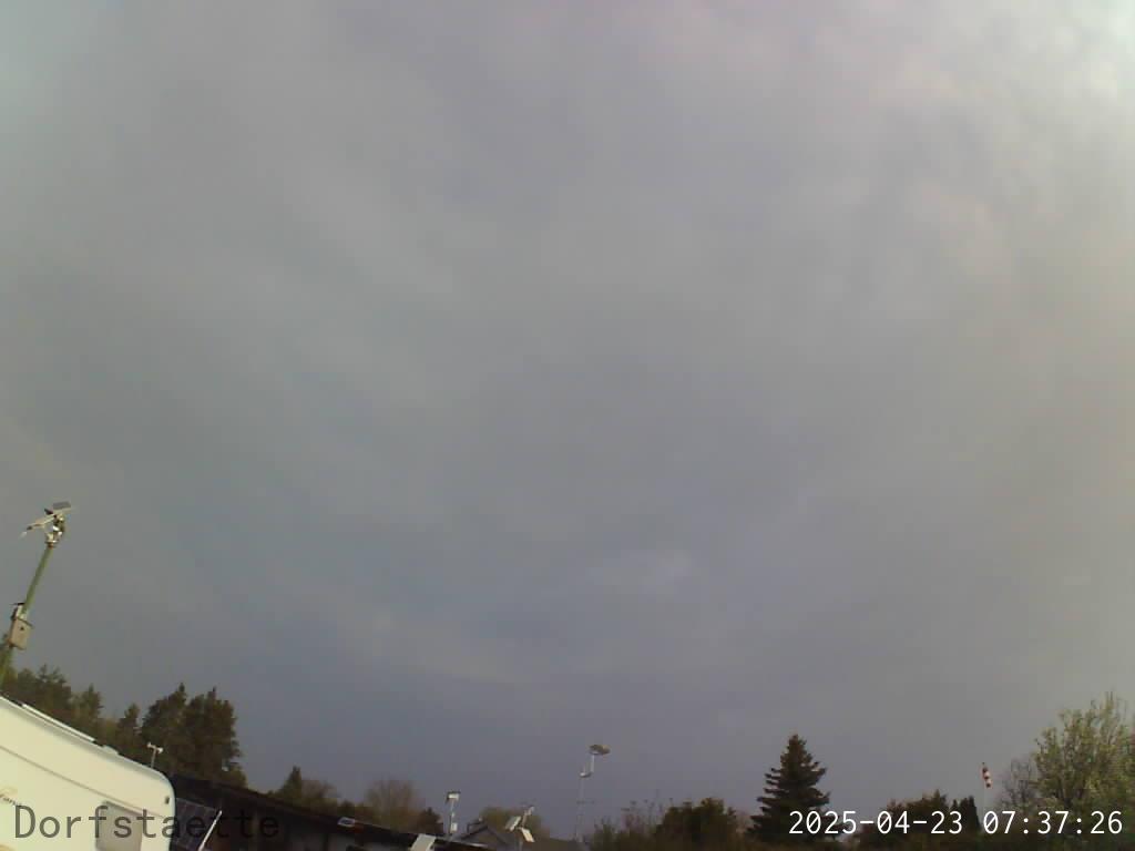 Webcam Bild