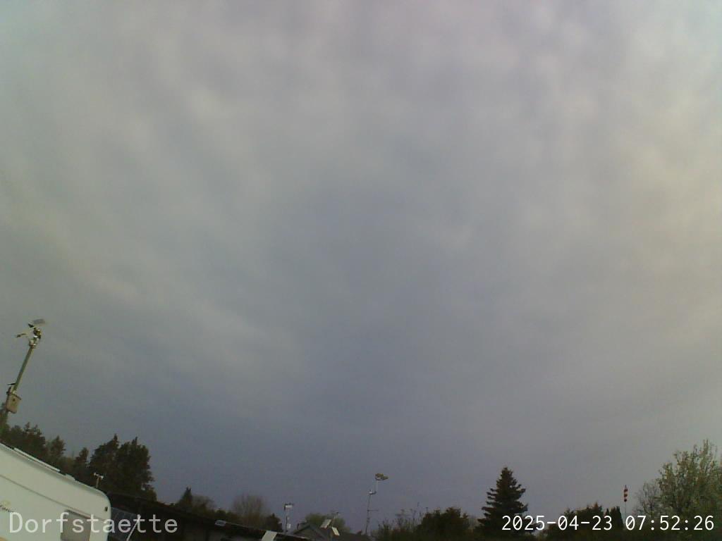 Webcam Bild