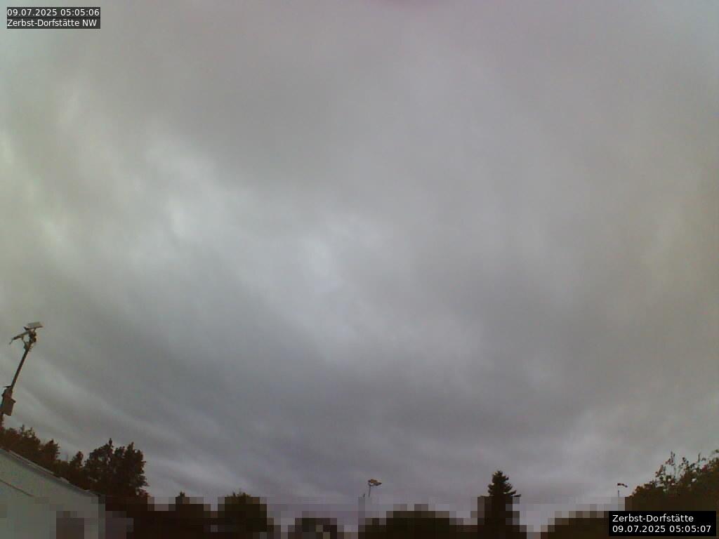 Webcam Bild
